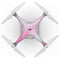 Marbleized_Pink_Paradise_V8_Phantom4_Drone_V1.jpg