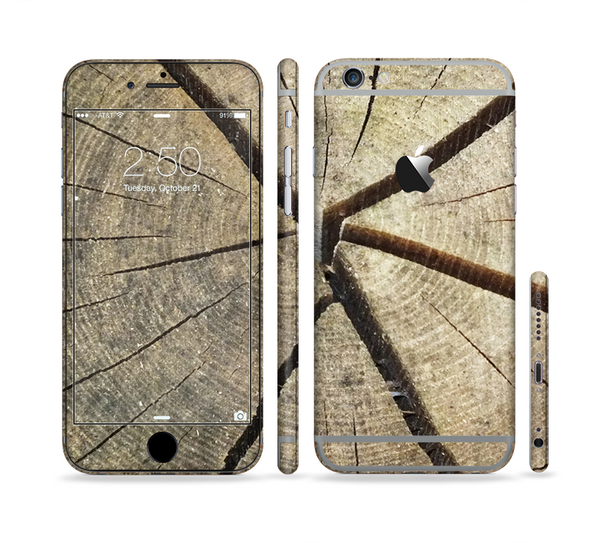 The Cracked Wooden Stump Sectioned Skin Series for the Apple iPhone 6