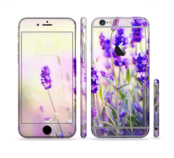 The Lavender Flower Bed Sectioned Skin Series for the Apple iPhone 6 Plus