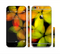 The Neon Blurry Translucent Flowers Sectioned Skin Series for the Apple iPhone 6 Plus