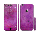 The Purple Water Colors Sectioned Skin Series for the Apple iPhone 6 Plus