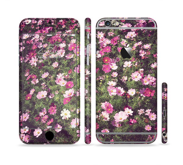 The Vintage Pink Floral Field Sectioned Skin Series for the Apple iPhone 6 Plus