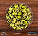 The Yellow Butterfly Bundle Skinned Foam-Backed Coaster Set