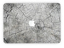 Aged_Cracked_Tree_Stump_Core_-_13_MacBook_Pro_-_V7.jpg