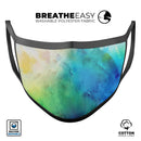 Blushed 493 Absorbed Watercolor Texture - Made in USA Mouth Cover Unisex Anti-Dust Cotton Blend Reusable & Washable Face Mask with Adjustable Sizing for Adult or Child
