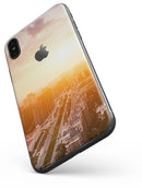 Cityscape at Sunset - iPhone X Skin-Kit