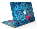 Contrasting_Butterfly_-_13_MacBook_Air_-_V1.jpg