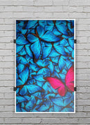 Contrasting_Butterfly_PosterMockup_11x17_Vertical_V9.jpg