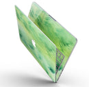 Green_321_Absorbed_Watercolor_Texture_-_13_MacBook_Pro_-_V9.jpg