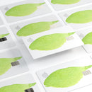 Lime Watercolor Leaf - Premium Protective Decal Skin-Kit for the Apple Credit Card