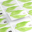 Lime Watercolor Leaves - Premium Protective Decal Skin-Kit for the Apple Credit Card