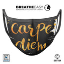 Lux Carpe Diem - Made in USA Mouth Cover Unisex Anti-Dust Cotton Blend Reusable & Washable Face Mask with Adjustable Sizing for Adult or Child