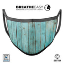 Mint Distressed Wood V555 - Made in USA Mouth Cover Unisex Anti-Dust Cotton Blend Reusable & Washable Face Mask with Adjustable Sizing for Adult or Child