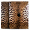 Mirrored Leopard Hide - Full Body Skin Decal for the Apple iPad Pro 12.9", 11", 10.5", 9.7", Air or Mini (All Models Available)