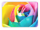 Rainbow_Dyed_Rose_V2_-_13_MacBook_Pro_-_V7.jpg