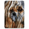 Raw Aged Knobby Wood - Full Body Skin Decal for the Apple iPad Pro 12.9", 11", 10.5", 9.7", Air or Mini (All Models Available)