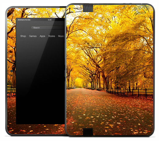 Fall Country Road Skin for the Amazon Kindle