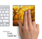 Fall Open Road Skin for the Apple Magic Trackpad