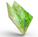 Splattered_Green_42_Absorbed_Watercolor_Texture_-_13_MacBook_Pro_-_V9.jpg