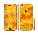 The Abstract Fall Leaves Sectioned Skin Series for the Apple iPhone 6s Plus