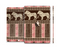 The Aztec Pink & Brown Lion Pattern Skin Set for the Apple iPad Pro