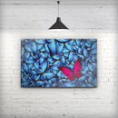 Contrasting_Butterfly_Stretched_Wall_Canvas_Print_V2.jpg