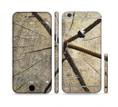The Cracked Wooden Stump Sectioned Skin Series for the Apple iPhone 6s Plus