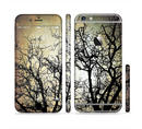 The Dark Branches Bright Sky Sectioned Skin Series for the Apple iPhone 6s Plus