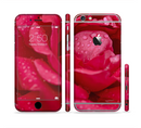 The Drenched Red Rose Sectioned Skin Series for the Apple iPhone 6s Plus