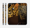 The Gold Floral Vector Pattern on Black Skin for the Apple iPhone 6