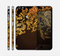The Gold Floral Vector Pattern on Black Skin for the Apple iPhone 6 Plus
