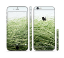 The Grassy Field Sectioned Skin Series for the Apple iPhone 6s Plus
