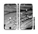The Grayscale Watered Leaf Sectioned Skin Series for the Apple iPhone 6s Plus
