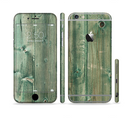 The Green Tinted Wood Planks Sectioned Skin Series for the Apple iPhone 6s Plus