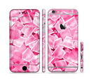 The Hot Pink Ice Cubes Sectioned Skin Series for the Apple iPhone 6s Plus