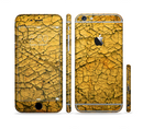 The Orange Cracked Surface Sectioned Skin Series for the Apple iPhone 6s Plus