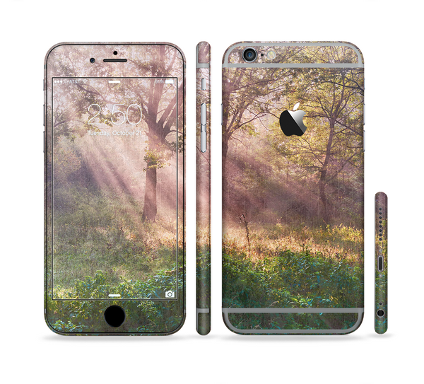 The Pink Sun Ray Meadow Sectioned Skin Series for the Apple iPhone 6 Plus