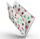 The_Sping_Lady_Bug_and_Heart_Clovers_-_13_MacBook_Pro_-_V9.jpg