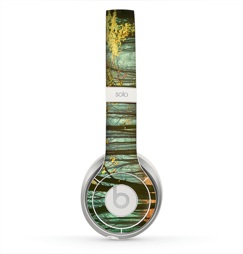 The Subtle Gold Autumn Forrest Skin for the Beats by Dre Solo 2 Headphones
