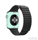 The Subtle Solid Green Full-Body Skin Kit for the Apple Watch