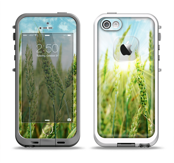 The Sunny Wheat Field Apple iPhone 5-5s LifeProof Fre Case Skin Set