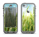The Sunny Wheat Field Apple iPhone 5c LifeProof Nuud Case Skin Set