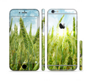 The Sunny Wheat Field Sectioned Skin Series for the Apple iPhone 6s Plus