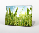 The Sunny Wheat Field Skin for the Apple MacBook Pro Retina 15"
