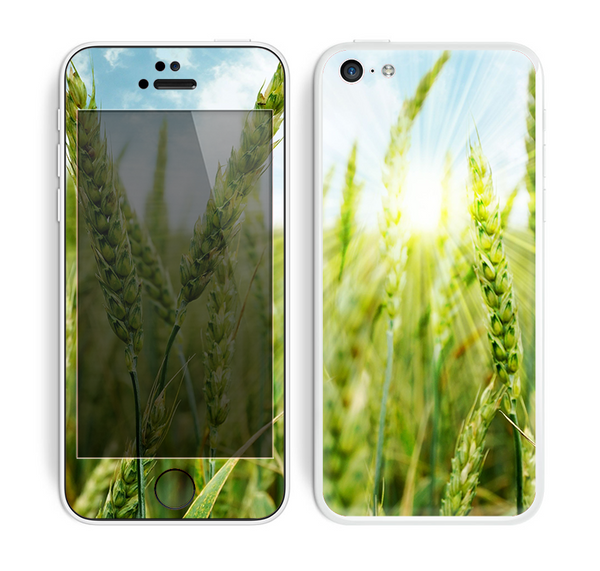 The Sunny Wheat Field Skin for the Apple iPhone 5c