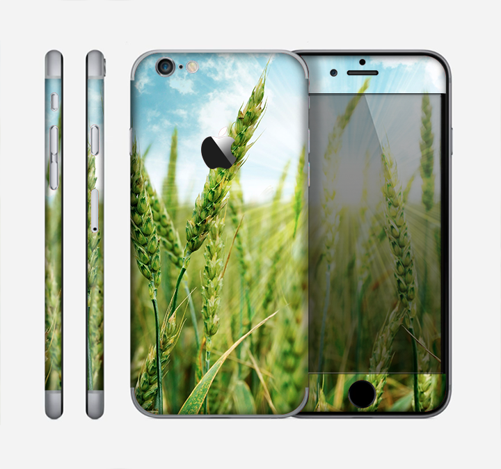 The Sunny Wheat Field Skin for the Apple iPhone 6