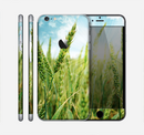 The Sunny Wheat Field Skin for the Apple iPhone 6 Plus