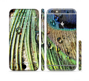 The Watered Peacock Detail Sectioned Skin Series for the Apple iPhone 6s Plus