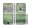 The Wooden Planks with Chipped Green Paint Sectioned Skin Series for the Apple iPhone 6s Plus