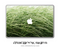 Windy Grass MacBook Skin